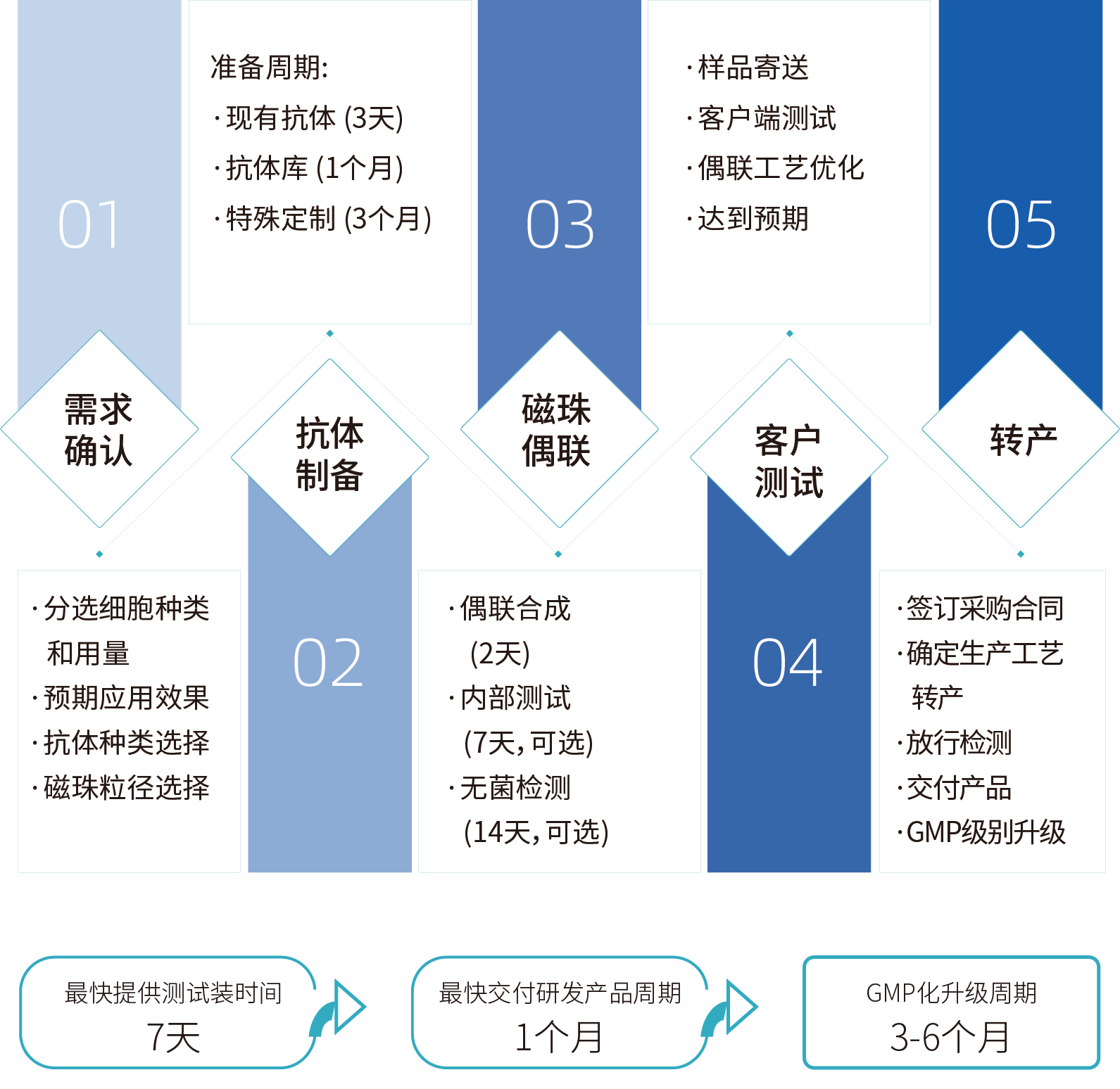 ag尊龙链接细胞分选激活磁珠/分选磁珠定制，定制流程