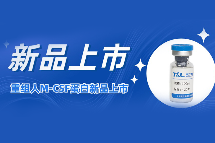 M-CSF | 让您的巨噬细胞更强大！