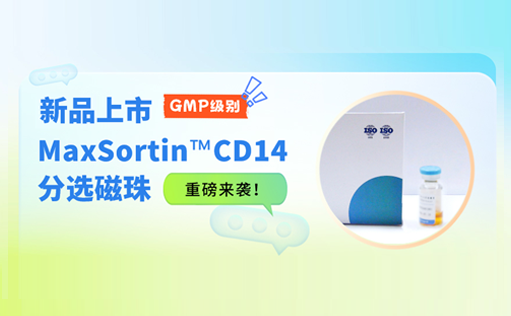新品上市 | GMP级别MaxSortin™CD14分选磁珠重磅来袭！