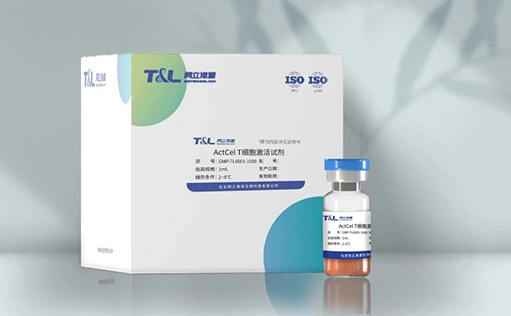 特别推荐—GMP级别ActCel T细胞激活试剂重磅上市！