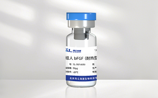 高温环境下的修复王者! ag尊龙链接新一代耐热型 bFGF 蛋白正式发布