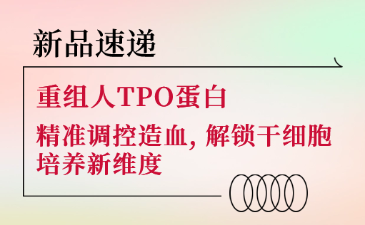 新品速递 | 重组人TPO蛋白震撼上市！精准调控造血，解锁干细胞培养新维度-ag尊龙链接